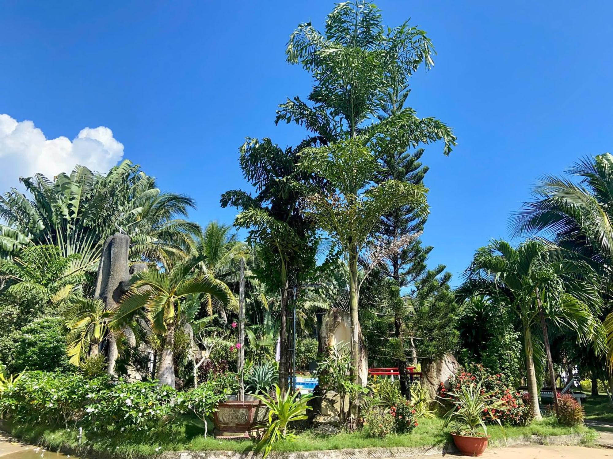 Villa Y Nghia Bungalow Ong Lang Phú Quốc Exterior foto