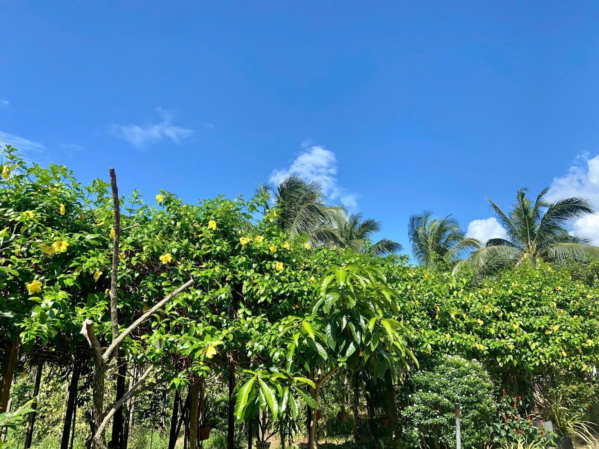 Y Nghia Bungalow Ong Lang Phú Quốc Exterior foto